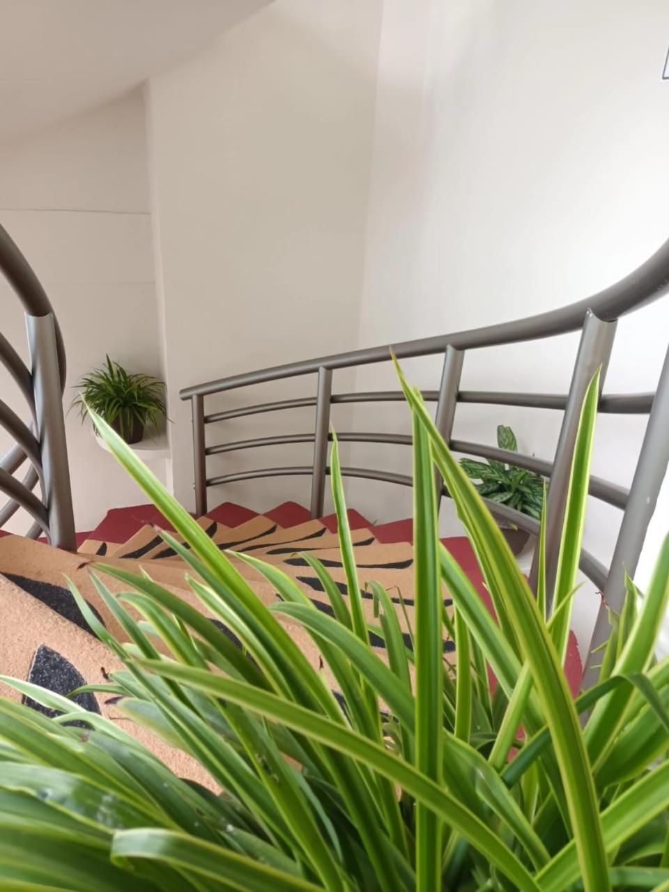 Marysol Las Palmas Rincón de Guayabitos Exterior foto