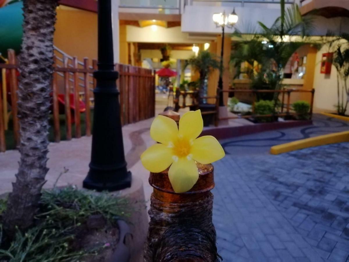 Marysol Las Palmas Rincón de Guayabitos Exterior foto
